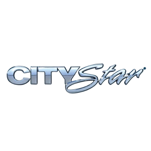 CLUTCH CITYSTAR W1601100LE17G01