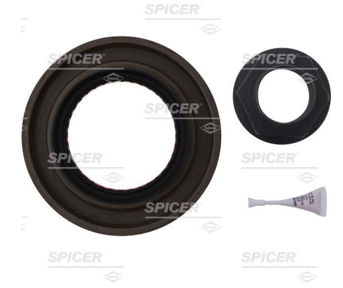 KIT TUERCA Y RETEN EJE TRASERO EATON DANA D46-17 DANA 131008K